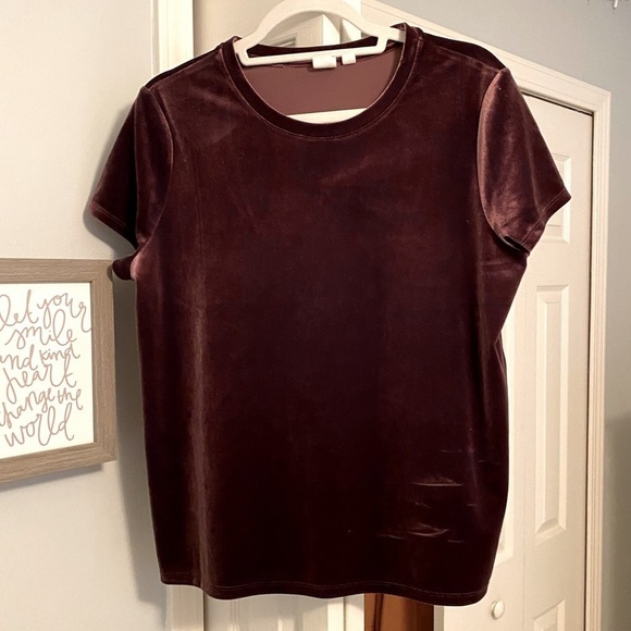 GAP Tops - Gap Velvet Top